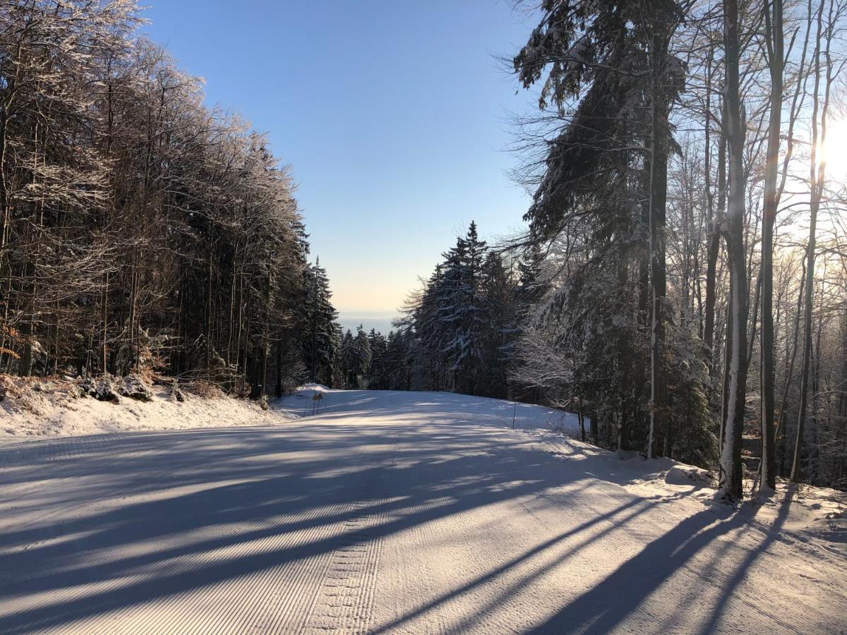 Chalet Anra Pohorje Zgornje Hoce Dış mekan fotoğraf