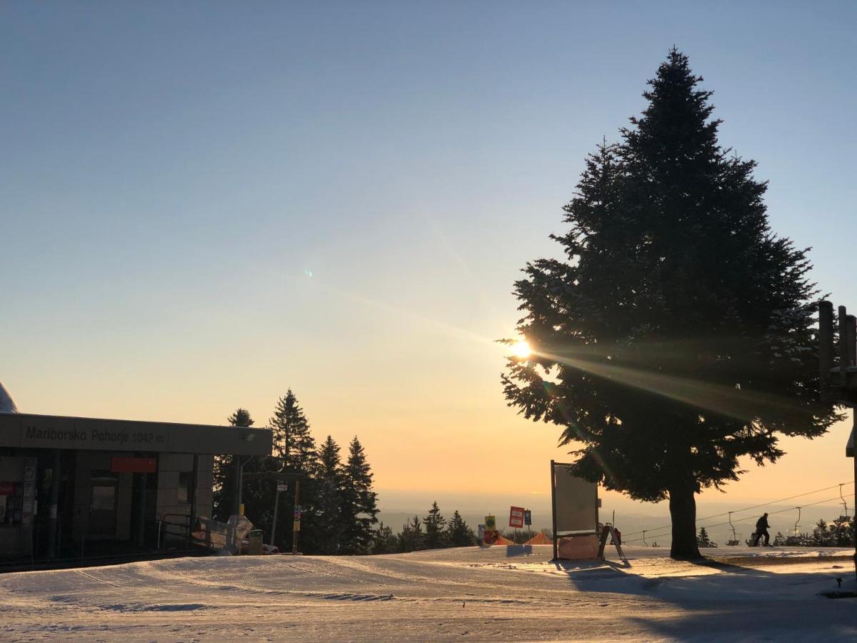 Chalet Anra Pohorje Zgornje Hoce Dış mekan fotoğraf