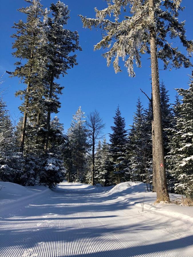 Chalet Anra Pohorje Zgornje Hoce Dış mekan fotoğraf